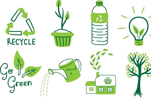 All Things GREEN in the Valley!